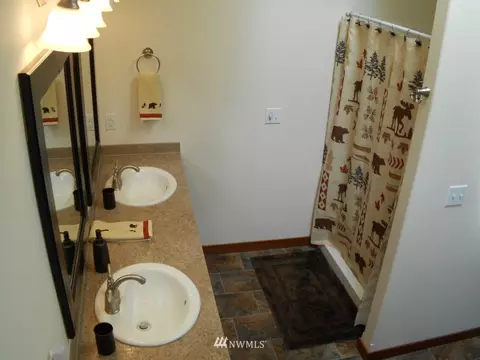 33505 27th Ave E, Roy, WA 98580 photo 15