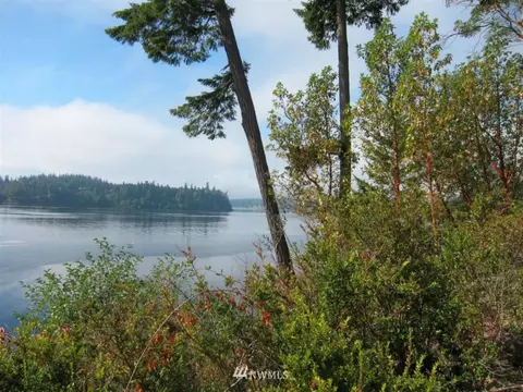 1121 E Wilson Way, Grapeview, WA 98546 photo 7