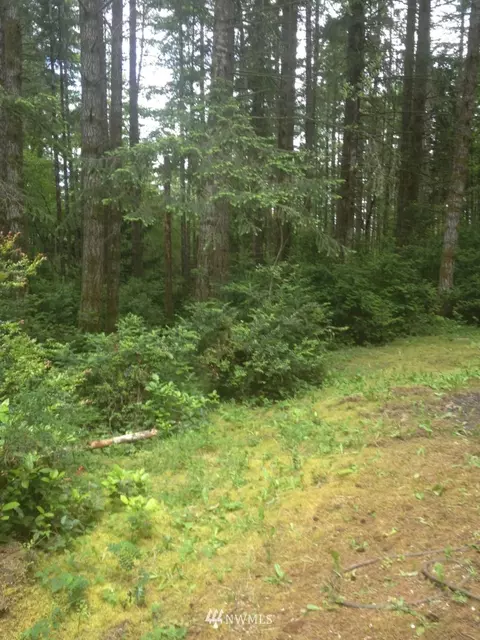 620 E Trails End, Belfair, WA 98528 photo 3