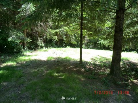 307 Bear View Dr, Chehalis, WA 98532 photo 3