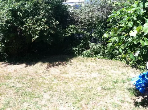 816 N 46th St, Seattle, WA 98103 photo 5