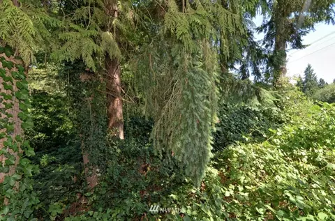 19903 Filbert Rd, Bothell, WA 98012 photo 10