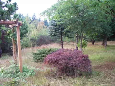 190 E Fox Run Ln, Grapeview, WA 98546 photo 15