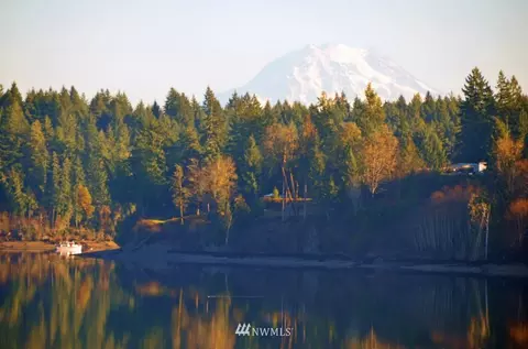 1450 E Island View Rd, Grapeview, WA 98546 photo 3