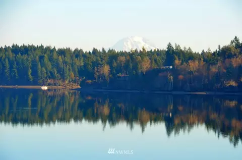 1450 E Island View Rd, Grapeview, WA 98546 photo 25