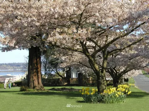 1201 Rucker Ave, Everett, WA 98201 photo 21