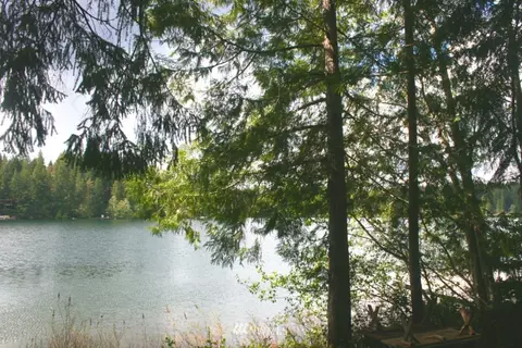 190 E Benson Lake Dr, Grapeview, WA 98546 photo 2