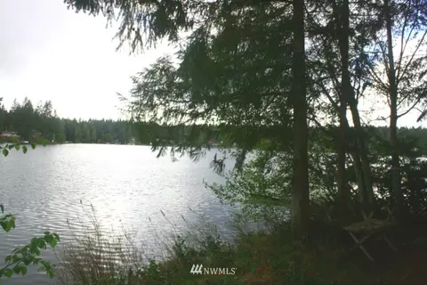 190 E Benson Lake Dr, Grapeview, WA 98546 photo 4