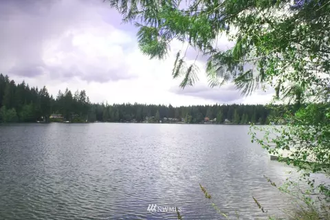 190 E Benson Lake Dr, Grapeview, WA 98546 photo 1