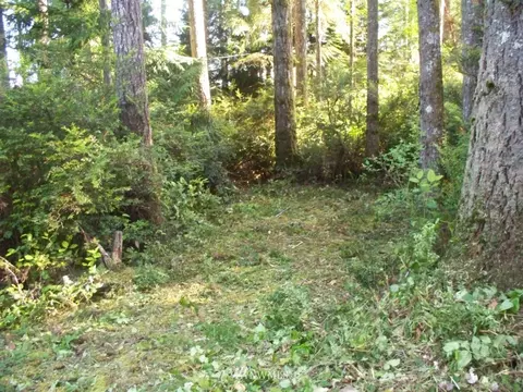 1101 E Mason Lake Dr E, Grapeview, WA 98546 photo 9