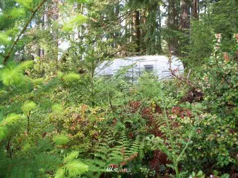 1101 E Mason Lake Dr E, Grapeview, WA 98546 photo 5