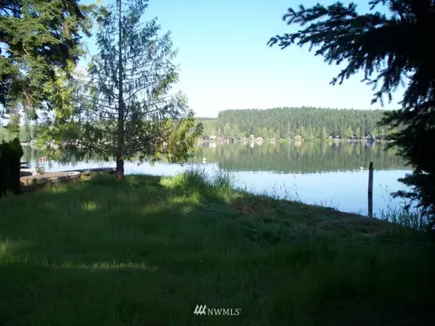 1101 E Mason Lake Dr E, Grapeview, WA 98546 photo 1