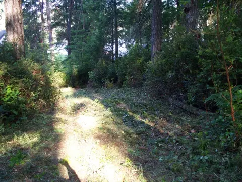 1101 E Mason Lake Dr E, Grapeview, WA 98546 photo 10