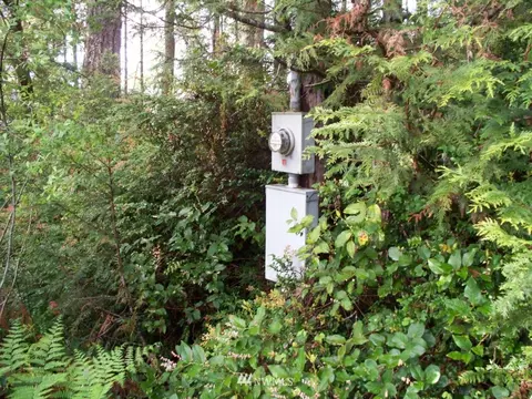 1101 E Mason Lake Dr E, Grapeview, WA 98546 photo 6