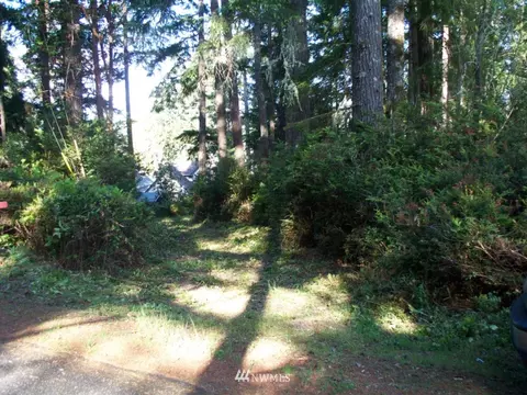 1101 E Mason Lake Dr E, Grapeview, WA 98546 photo 8