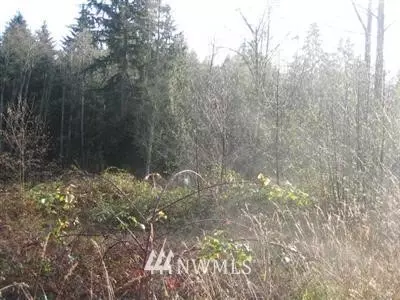 16009 51st Ave SE, Bothell, WA 98012 photo 7