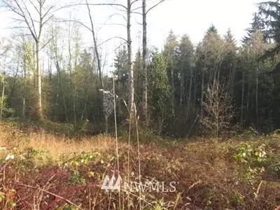 16009 51st Ave SE, Bothell, WA 98012 photo 6