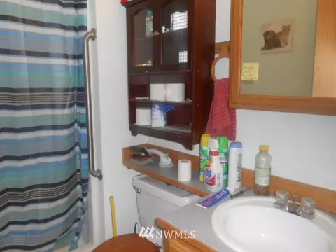 201 Whitley St NW, Orting, WA 98360 photo 9