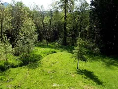 114 Temple Dr E, Morton, WA 98356 photo 16