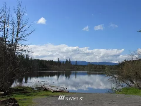 1115 408th St E, Roy, WA 98580 photo 25