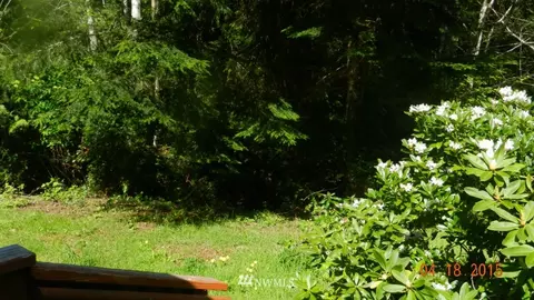 161 E Snowcap Dr, Belfair, WA 98528 photo 4