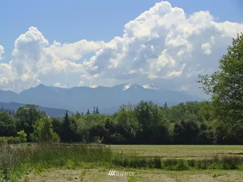 1352 Three Crabs Rd, Sequim, WA 98382 photo 7