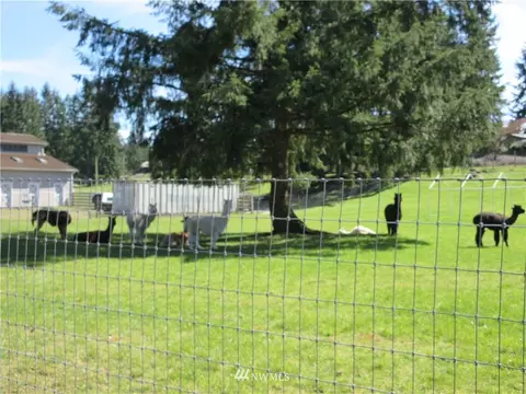 1608 276th St E, Spanaway, WA 98387 photo 22
