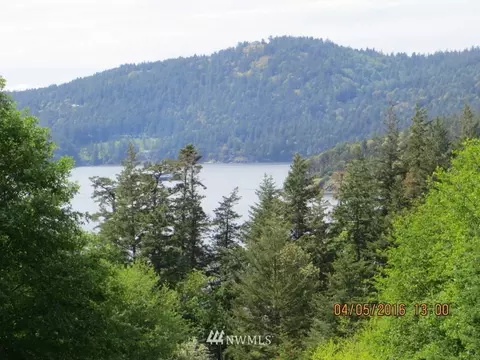 171 Thistle Ln, Eastsound, WA 98245 photo 2