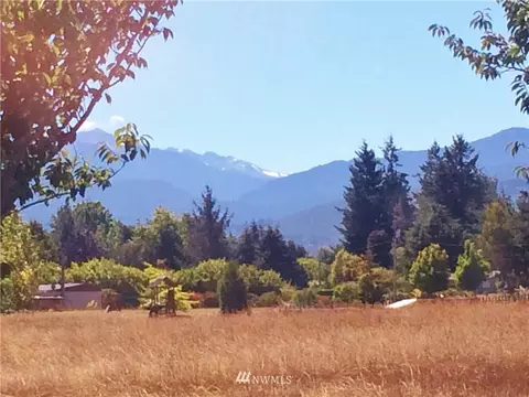 124 S Scott Dr, Sequim, WA 98382 photo 3