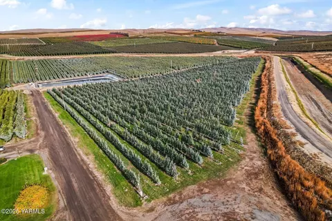 370 Macy Rd, Zillah, WA 98953