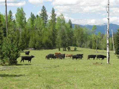 389752 Hwy 20, Ione, WA 99139 photo 4