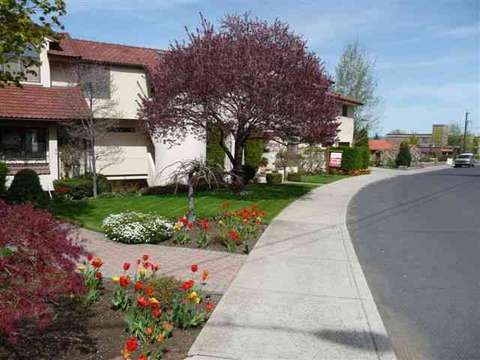 107 E Sumner Ave #B, Spokane, WA 99202 photo 3
