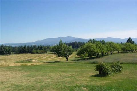 7721 E Greenbluff Rd, Colbert, WA 99005 photo 8
