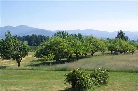7721 E Greenbluff Rd, Colbert, WA 99005 photo 9