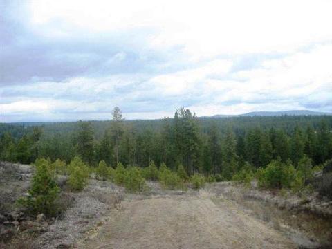 11622 S Scribner Rd, Cheney, WA 99004 photo 2