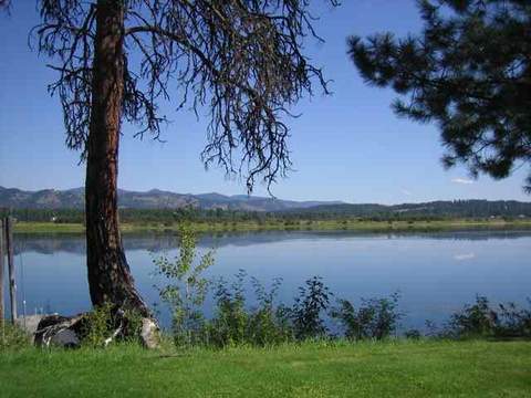 902 Davis Rd, Usk, WA 99180 photo 9