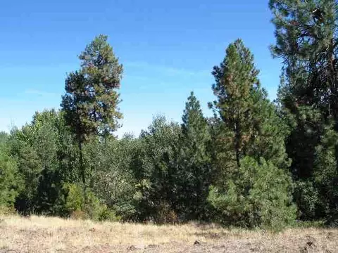 2107 E Red Barn Ln, Spokane, WA 99031 photo 3
