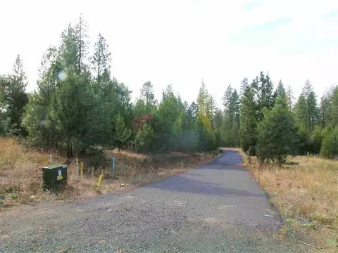 315 E Wildrose Rd, Colbert, WA 99005 photo 2