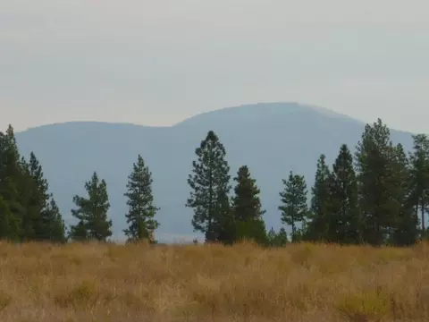 413 E Wildrose, Colbert, WA 99005 photo 3