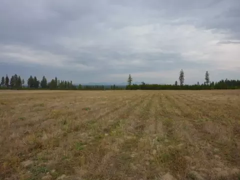 413 E Wildrose, Colbert, WA 99005 photo 1
