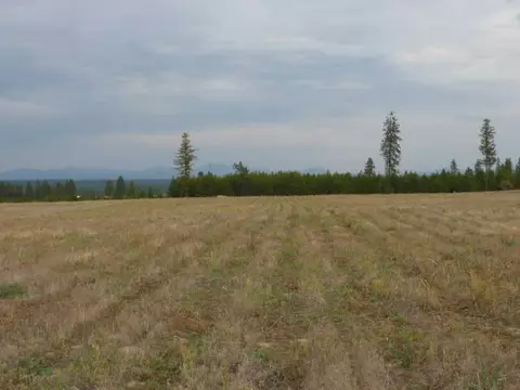 413 E Wildrose, Colbert, WA 99005 photo 4