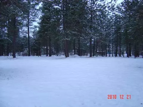 20417 N Thor Rd, Colbert, WA 99005 photo 8