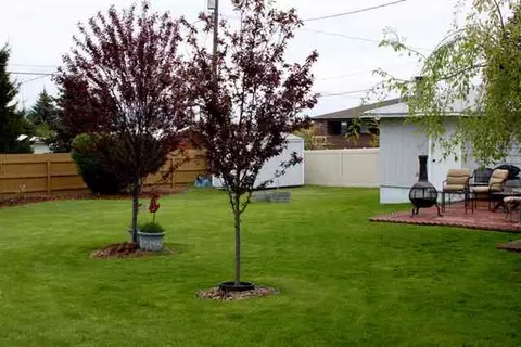12125 E 9th, Spokane, WA 99206 photo 8