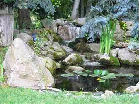 5320 E Handy, Colbert, WA 99005 photo 7