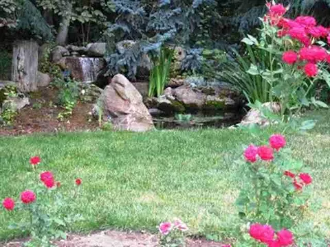 5320 E Handy, Colbert, WA 99005 photo 6