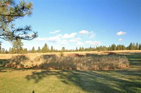 20317 S Parker Rd, Spangle, WA 99031 photo 5