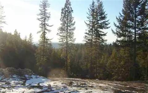 16706 E Scribner Rd, Spokane, WA 99217 photo 1