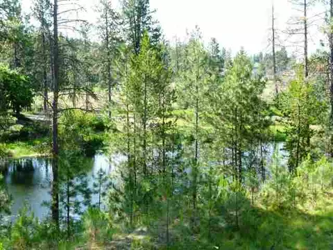 918 E Ballard Rd, Colbert, WA 99005 photo 8