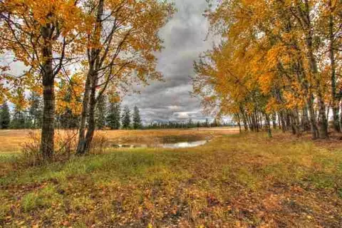 16621 S Stentz Rd, Spangle, WA 99031 photo 9