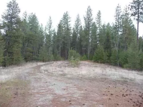 12903 E Dodge Ln, Elk, WA 99009 photo 1